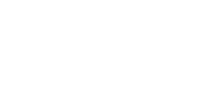 Teddy By IDC